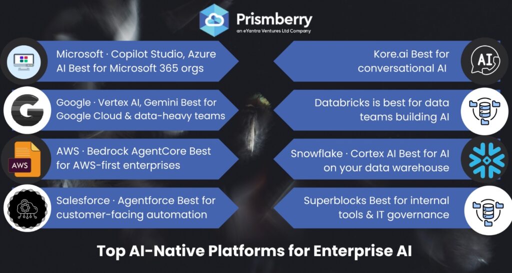 AI Native Platform Providers